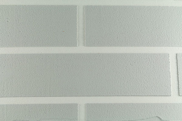 ../images/plaster/palette-tr/Grey BBR 38F.jpeg